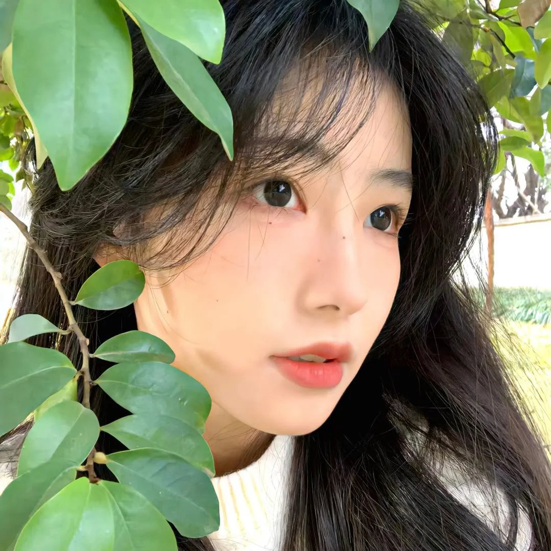 西部之恋