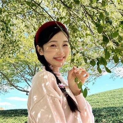 卡珊德拉之梦
